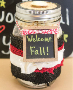 Chocolate Chip Cookie Mix in a Jar