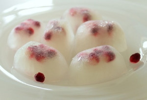 Pomegranate Flavored Ice Cubes