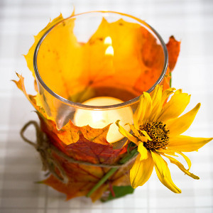 Sunny Day Autumn Leaves Lantern