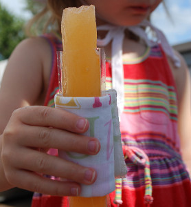 DIY Insulated Popsicle Holder