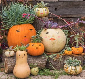Make Your Own Pumpkin Family