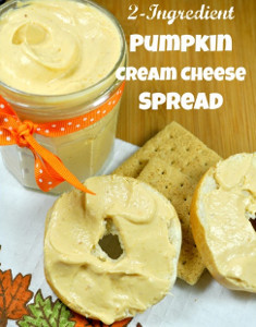 Two Ingredient Pumpkin Spread