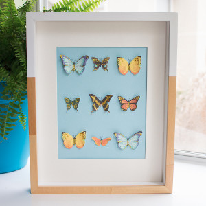 Beautiful Butterfly Framed Art