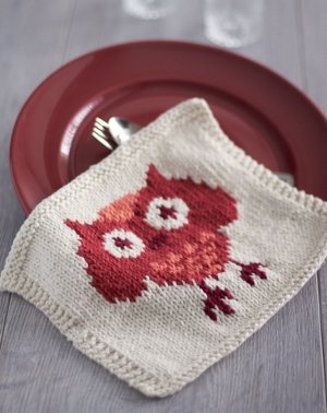 Festive Owl Dishcloth