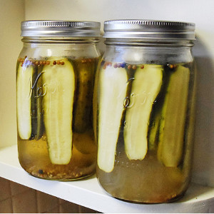 Claussen Pickles Copycat