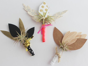 DIY Airplant Boutonniere