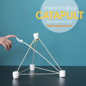 Fun Marshmallow Catapult