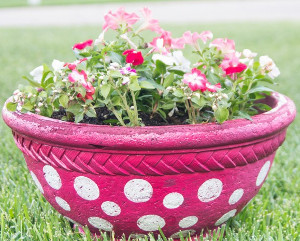 Polka-Dot Ceramic Pot Makeover