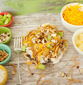 Easy Hawaiian Haystacks