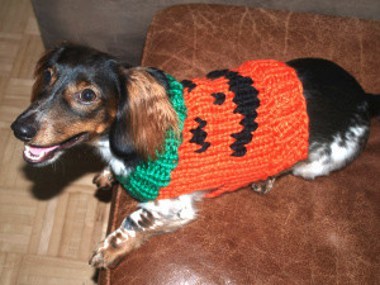 Jack-O-Lantern Dog Sweater