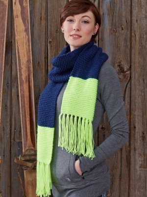 Bold Beginner Scarf