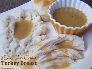 Easy All Day Slow Cooker Turkey Breast