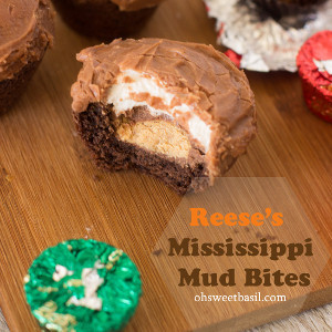 Homemade Reese's Mississippi Mud Bites