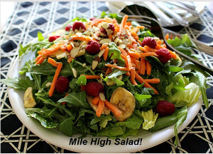 Mile High Restaurant Style Salad