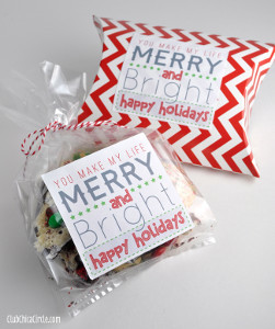 Festive Holiday Gift Tags