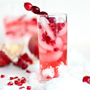 Rich Red Vodka Cranberry Cocktail 