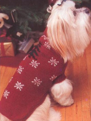 Sapphire Knit Dog Sweater