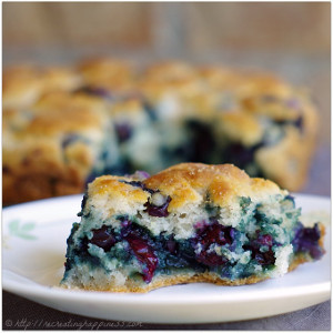 Blueberry Morning Biscuits