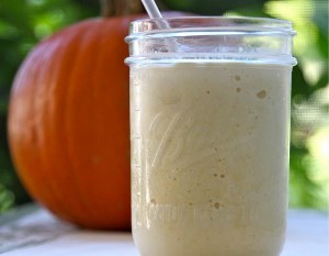 Homemade Dairy Queen Pumpkin Pie Blizzard | AllFreeCopycatRecipes.com