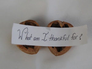 Thankful Walnut Thanksgiving Activity