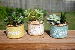 Mini Succulent Planters