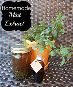 Homemade Mint Extract