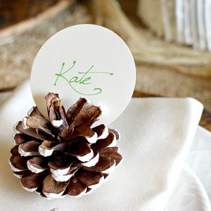 Pretty Easy Pine Cone Place Card Holders