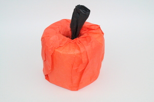 60 Second Toilet Paper Pumpkin