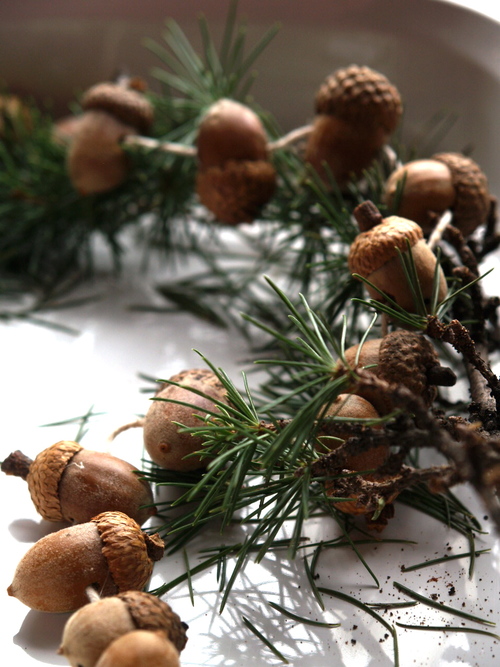 mustang Christmas Acorn Garland