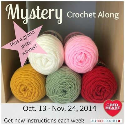 Mystery Crochet Along: Week 6