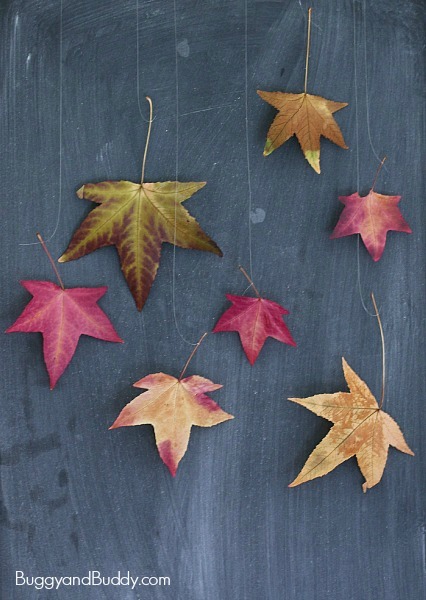 How to Preserve Fall Leaves