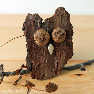 Bark Owls Nature Craft