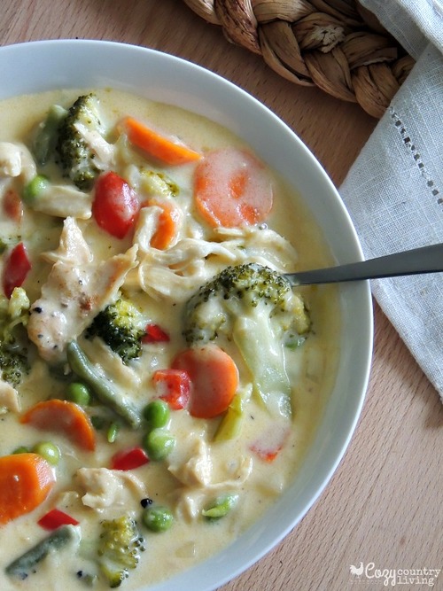 Cheesy Chicken and Vegetable Soup