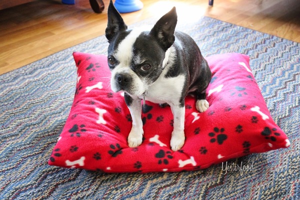 Fuzzy DIY Pet Bed