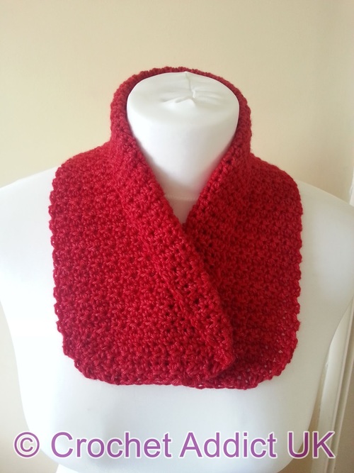 Classy Collared Cowl