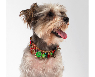Glitzy Homemade Holiday Pet Collar