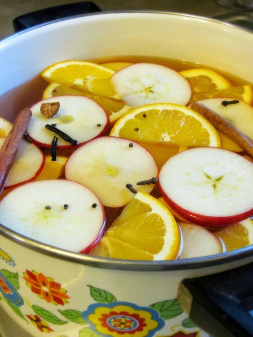 Spiced Holiday Cider Recipe