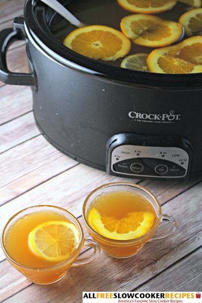 Elegant and Easy Old Fashioned Slow Cooker Apple Cider Elegant and Easy Old Fashioned Slow Cooker Apple Cider