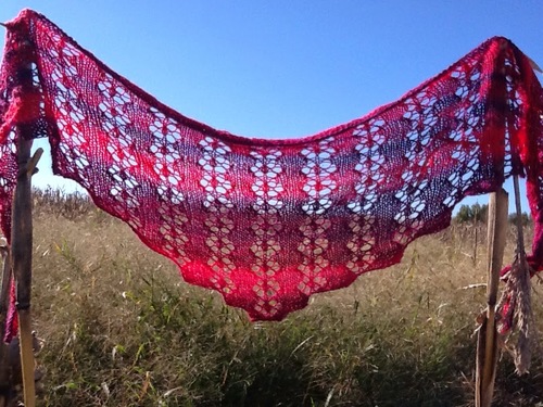 Cat S Paw Scarf Allfreeknitting Com