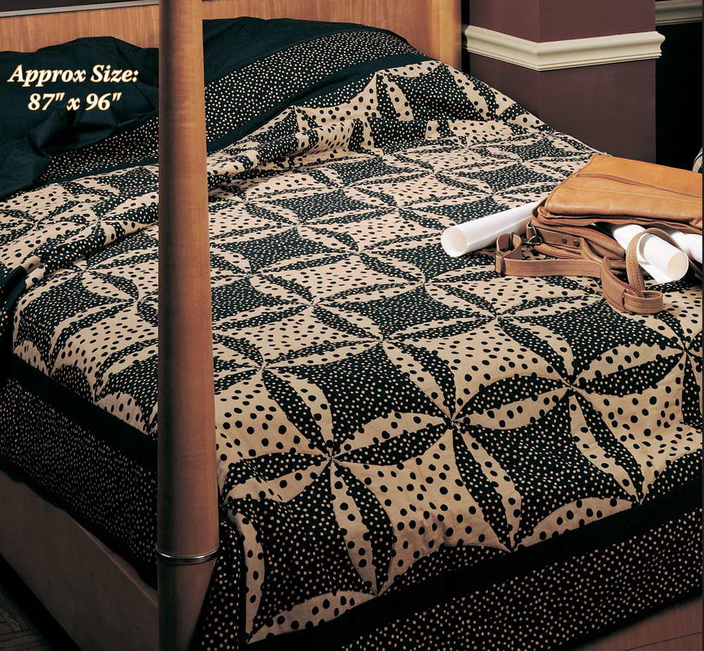 Robbing Peter To Pay Paul Quilt from Leisure Arts