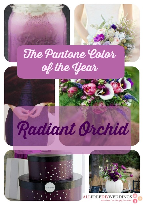 Pantone Color of the Year: Radiant Orchid