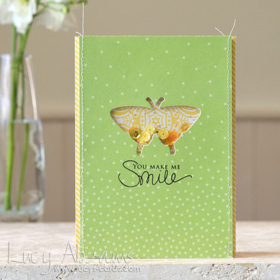 Butterfly Shaker Card