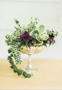 Untamed Garden DIY Centerpiece