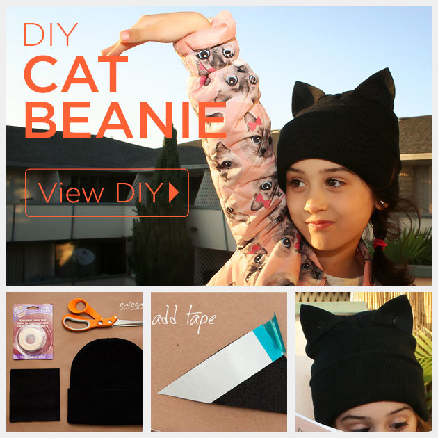 No Sew Cat Beanie Free Craft Project
