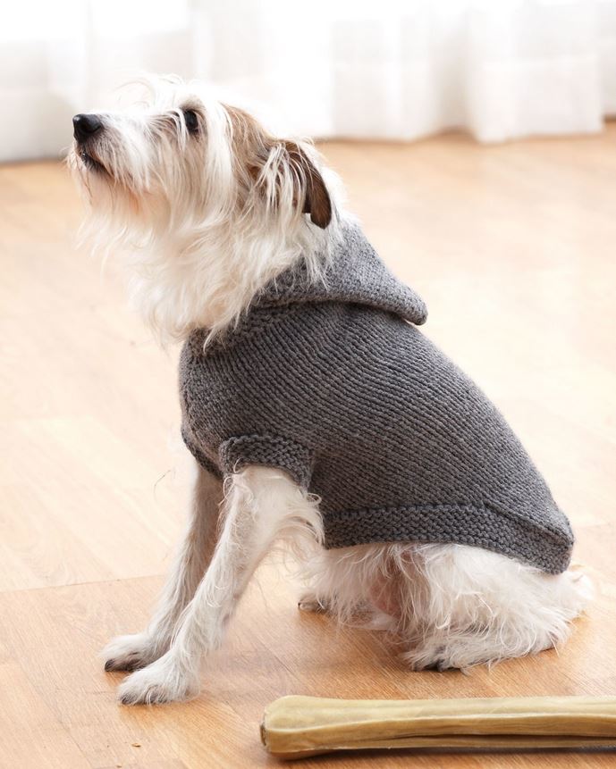 Dog Sweater Loom Knit Pattern Easy Beginner Level Instructions 