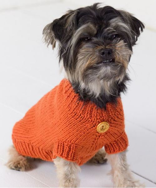 Life Is Ruff Knit Dog Sweater Allfreeknitting Com