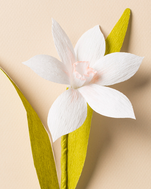 Paper Narcissus Flower