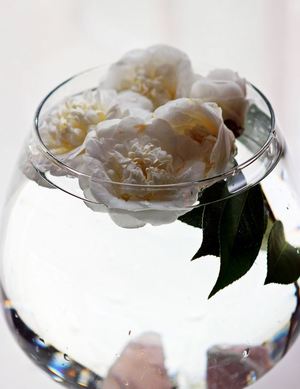 Delicate Floating Camellia Centerpiece