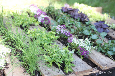 How to Make a Pallet Garden