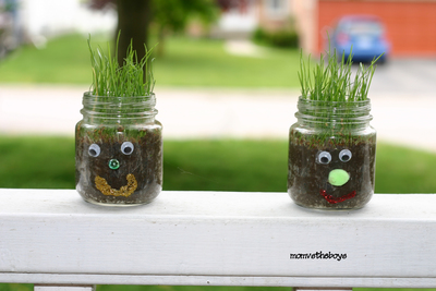 Mini Mason Jar Grass Heads